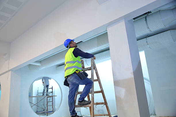 Best Forensic Mold Investigation  in Beltsville, MD